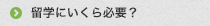 留学にいくら必要？