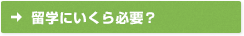 留学にいくら必要？