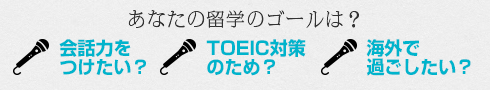 会話力をつけたい？/TOEIC対策のため？/海外で過ごしたい？