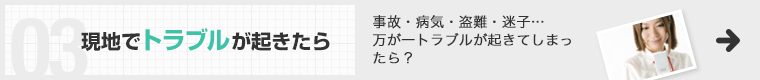 トラブルが起きたら 事故・病気・盗難・迷子…万が一トラブルが起きてしまったら？